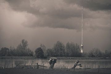 Dark skies and radio waves by Kees van der Rest
