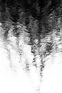Reflected vision 6