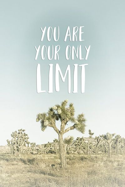You are your only limit | Wüstenimpression von Melanie Viola
