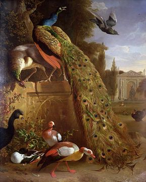 Un paon et une paonne sur un socle, avec des canards et d'autres oiseaux dans un parc, Melchior d'Ho