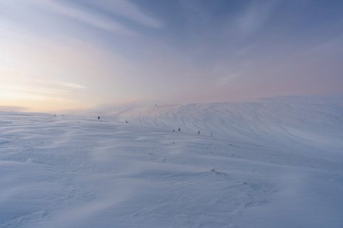 Pallas-Yllästunturi NP Finland