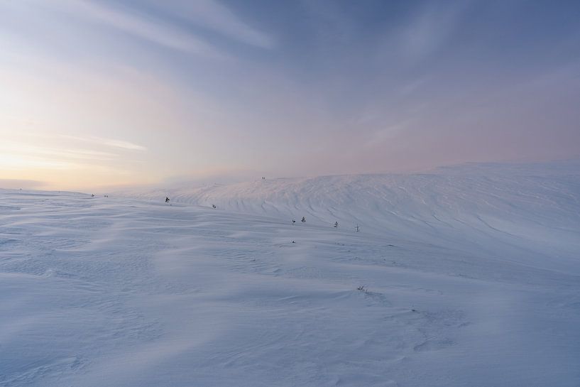 Pallas-Yllästunturi NP Finland by Annemarie Arensen