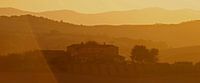 Under the Tuscan Sun