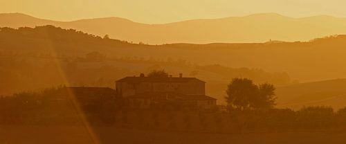 Under the Tuscan Sun