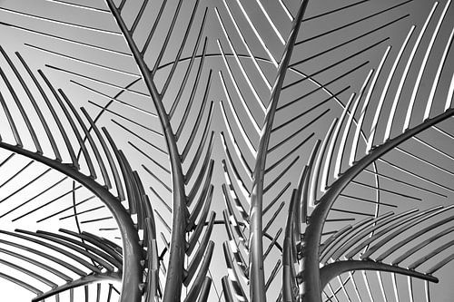 Photos en noir et blanc de Dubaï