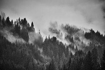 Alpine fog 3 van Bart Rondeel