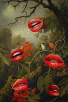 Jungle of the carnivores