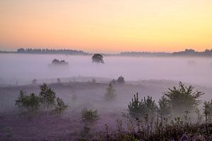 Sonnenaufgang über einer Heidelandschaft