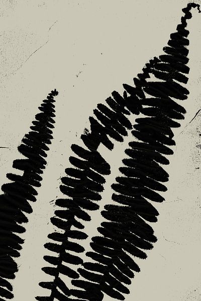 Abstract botanical. Summer ferns in black and white. by Dina Dankers