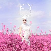 Roze Dame