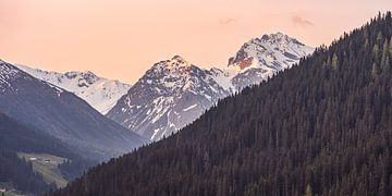 Schneebedeckte Berggipfel in der Morgensonne von Dafne Vos
