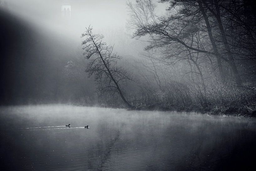 Mistige, rustige rivier met eenden van Dirk Wüstenhagen