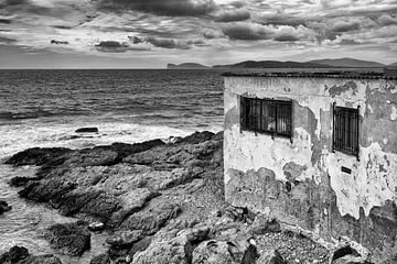 seascape with decayed shack von Peter van Eekelen