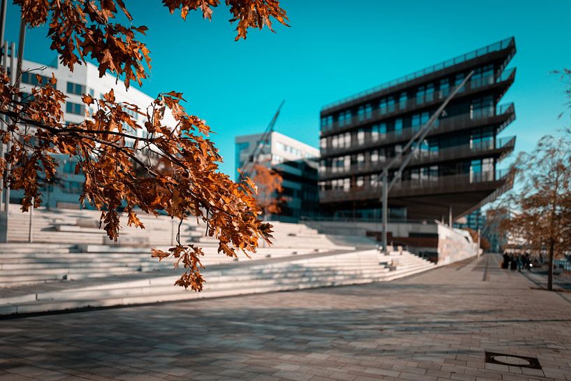 Hamburg - Harbour City in autumn (modern design) by Dekorative Hamburg Fotos