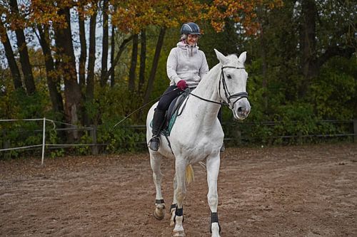 Training met het witte paard op een rijbak in de herfst