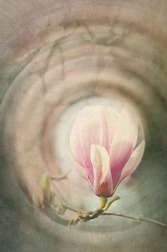 Magnolia Vintage by Katja Waltmans