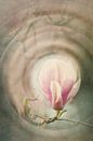 Magnolia Vintage van Katja Waltmans thumbnail