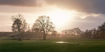 Overijsselian scenes by Vladimir Fotografie