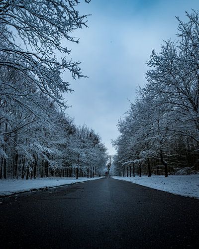 The driveway in the snow