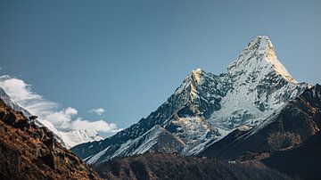 Mount Ama Dablam in the Himalayas of Nepal with goat by Thea.Photo