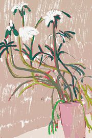 Blush Pink – Topfpflanze von Little Dean