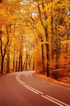 La route de l'automne...  sur LHJB Photography