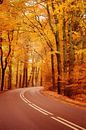 Die Herbststraße...  von LHJB Photography Miniaturansicht