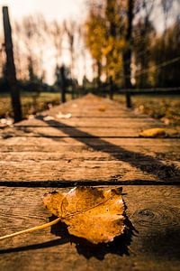 Herfst in het land von Prachtig  Diepenbeek