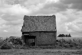 An old shed in the cornfield by Framed by Elisabeth