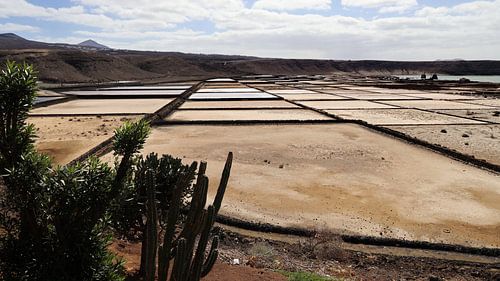 Salinas de Janubio