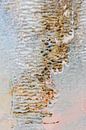 Overstroming van Patty Elferink thumbnail