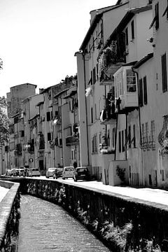 Tuscany Italy Lucca Downtown black and white