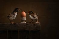 Chicks and the egg by Elles Rijsdijk thumbnail