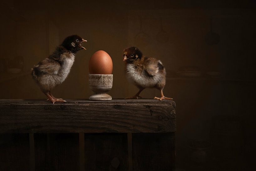 Chicks and the egg by Elles Rijsdijk