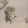 Watanabe Seitei - Oiseaux sur une branche (1887) sur Peter Balan