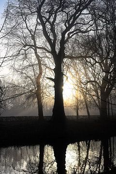 Hemmensebos Teil 59 von Tania Perneel