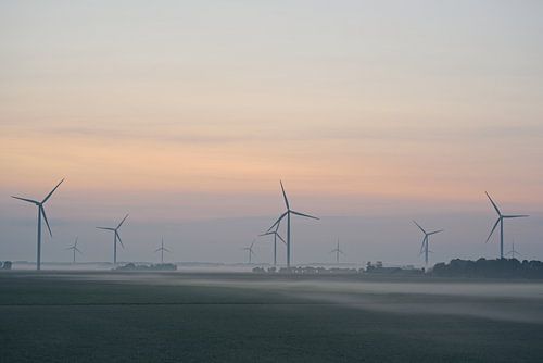 Rustige morgen