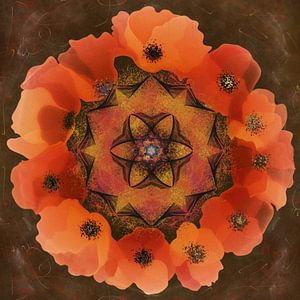 Mandala - Mohn