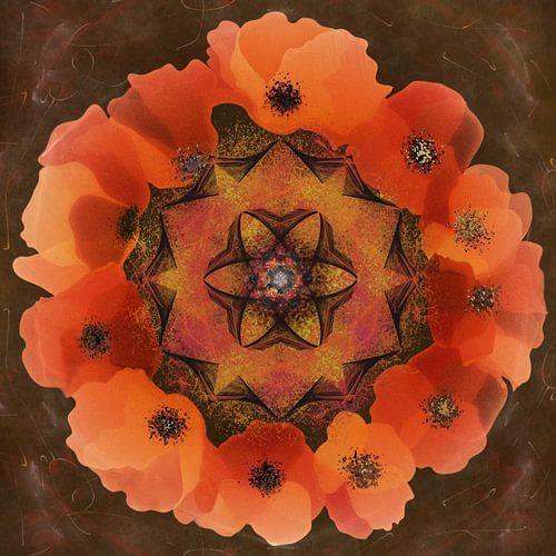 Mandala - Coquelicot