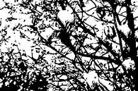 Atomic Spring by GeeeDeeeBeee thumbnail