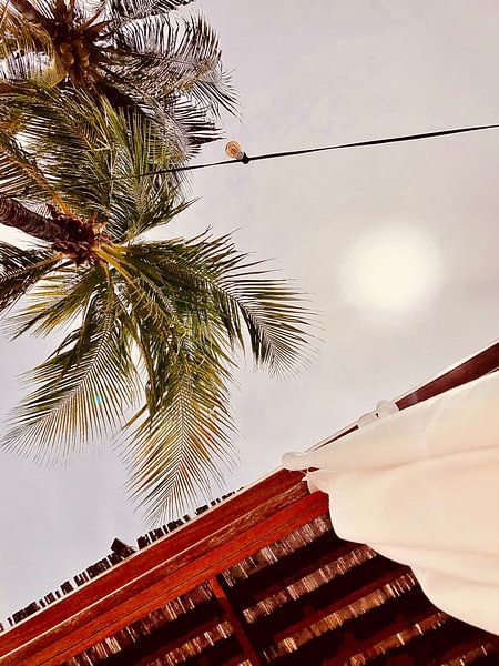 Holidays in the air by Kim Jelink