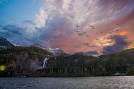 De fjorden van Noorwegen van Joran Quinten thumbnail