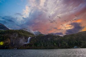 Die Fjorde von Norwegen
