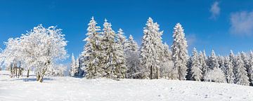 Silence hivernal sur les forêts de Thuringe : Panorama de feuillus et de sapins enneigés sur AidasignArt