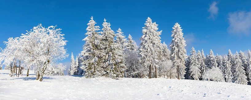 Silence hivernal sur les forêts de Thuringe : Panorama de feuillus et de sapins enneigés par AidasignArt