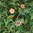 Tropenvögel im grünen Dschungel von Andrea Haase Miniaturansicht