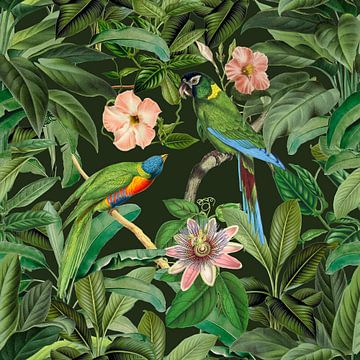 Tropische vogels in de groene jungle van Andrea Haase