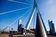 Rotterdam Erasmusbrug van Pieter Wolthoorn thumbnail