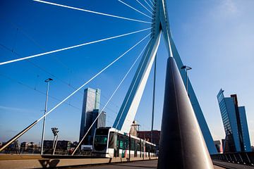 Rotterdam Erasmusbrug by Pieter Wolthoorn