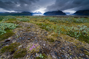 Vatnajökull nationaal park bij Skaftafell, IJsland